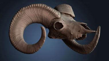 3D model STKJ_8564 (STL)