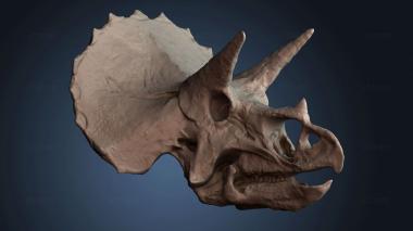 3D модель STKJ_8576 (STL)