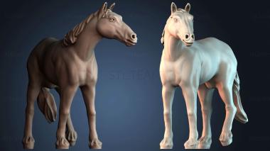 3D модель STKJ_8642 (STL)