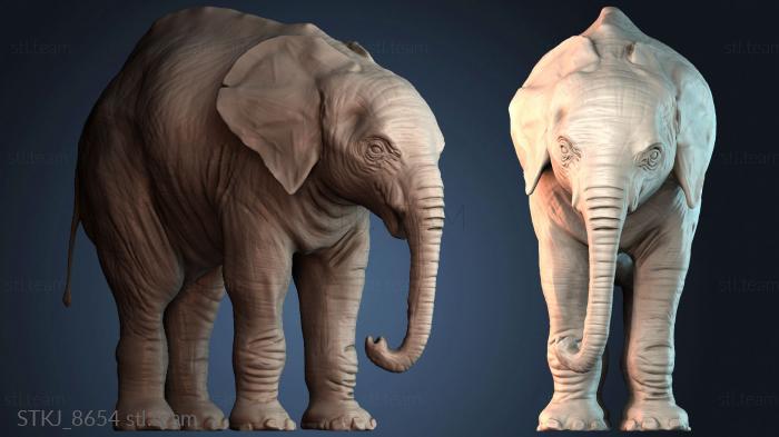 Статуэтки животных STKJ_8654