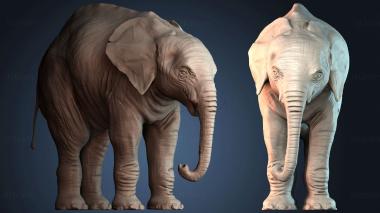 3D model STKJ_8654 (STL)