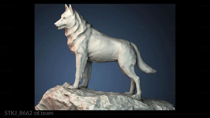 Статуэтки животных STKJ_8662