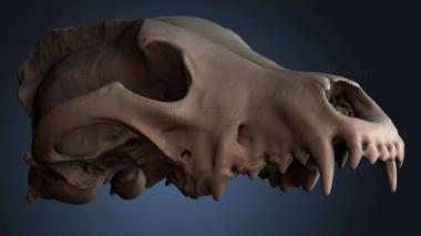 3D модель STKJ_8672 (STL)