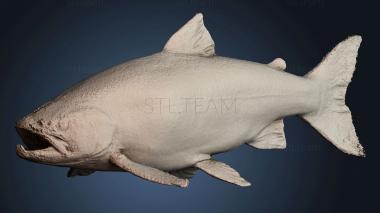 3D модель STKJ_8691 (STL)