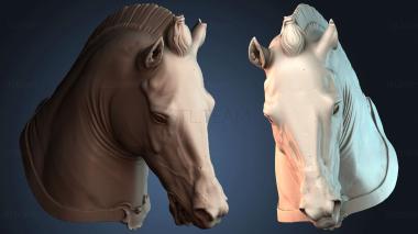 3D модель STKJ_8698 (STL)