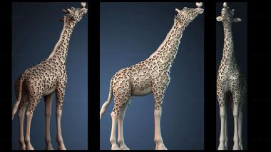 3D model STKJ_8699 (STL)