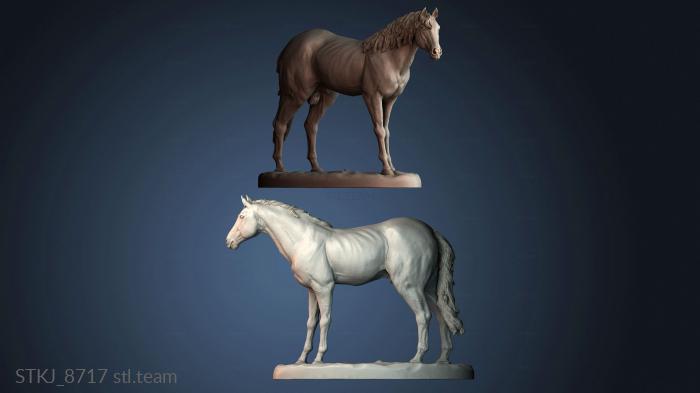 Статуэтки животных STKJ_8717