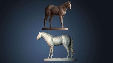 3D model STKJ_8717 (STL)