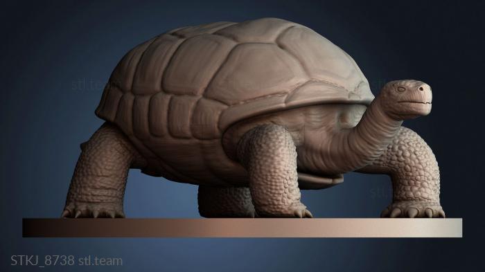 Статуэтки животных STKJ_8738