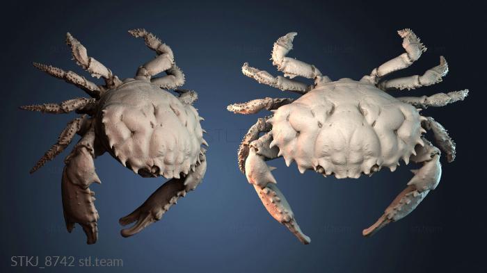 Статуэтки животных STKJ_8742