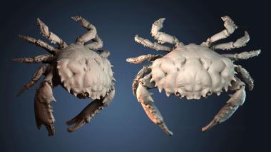 3D модель STKJ_8742 (STL)