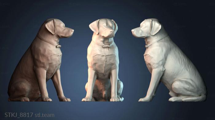 Статуэтки животных STKJ_8817