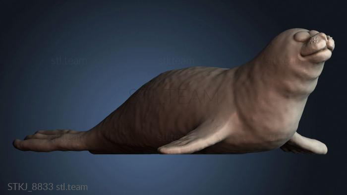 Статуэтки животных STKJ_8833