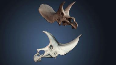 3D модель STKJ_8841 (STL)