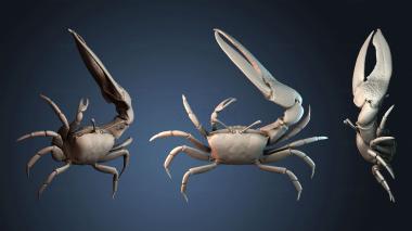 3D модель STKJ_8857 (STL)