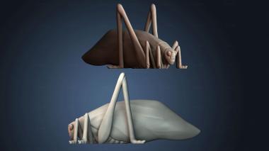 3D модель STKJ_8874 (STL)