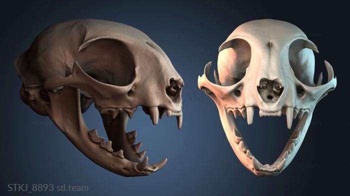 Статуэтки животных STKJ_8893