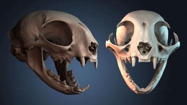 3D модель STKJ_8893 (STL)