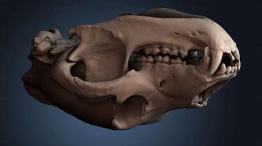 3D модель STKJ_8895 (STL)