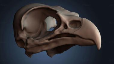 3D model STKJ_8910 (STL)