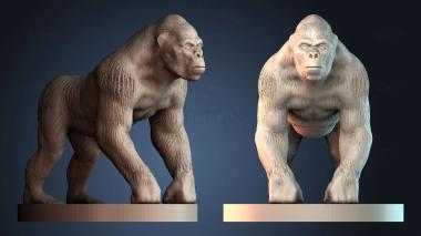 3D модель STKJ_8917 (STL)