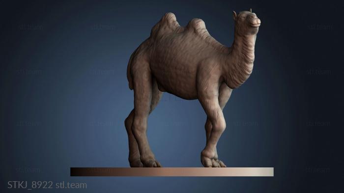 Статуэтки животных STKJ_8922