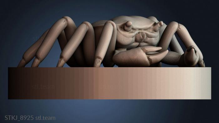 Статуэтки животных STKJ_8925