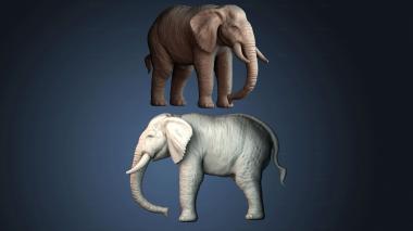 3D модель STKJ_8931 (STL)