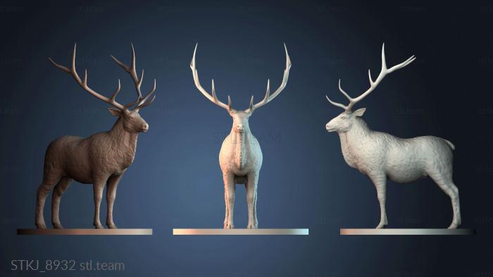 Статуэтки животных STKJ_8932