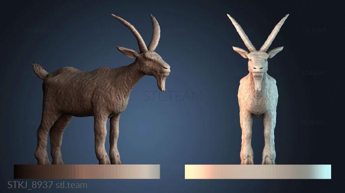 Статуэтки животных STKJ_8937