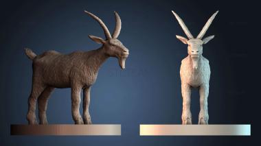 3D модель STKJ_8937 (STL)