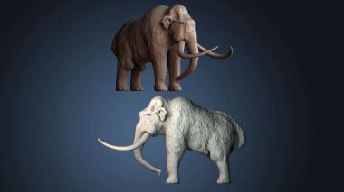 3D модель STKJ_8954 (STL)