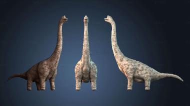 3D модель STKJ_8979 (STL)