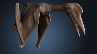 3D модель STKJ_8995 (STL)