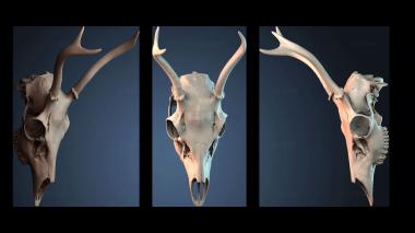 3D model STKJ_9002 (STL)