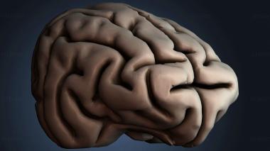 3D модель STKJ_9045 (STL)