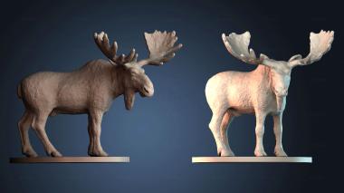 3D модель STKJ_9104 (STL)