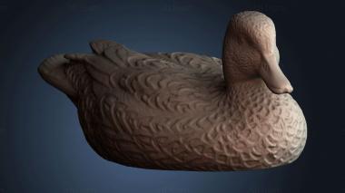 3D model Wild duck (STL)