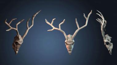 3D model STKJ_9144 (STL)