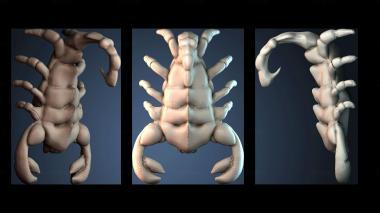 3D model STKJ_9159 (STL)