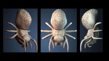 3D модель STKJ_9161 (STL)