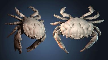 3D model STKJ_9183 (STL)