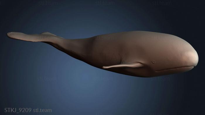 Статуэтки животных STKJ_9209