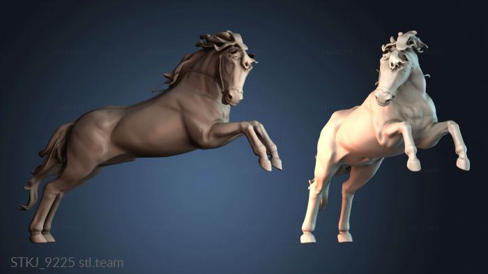 Статуэтки животных STKJ_9225