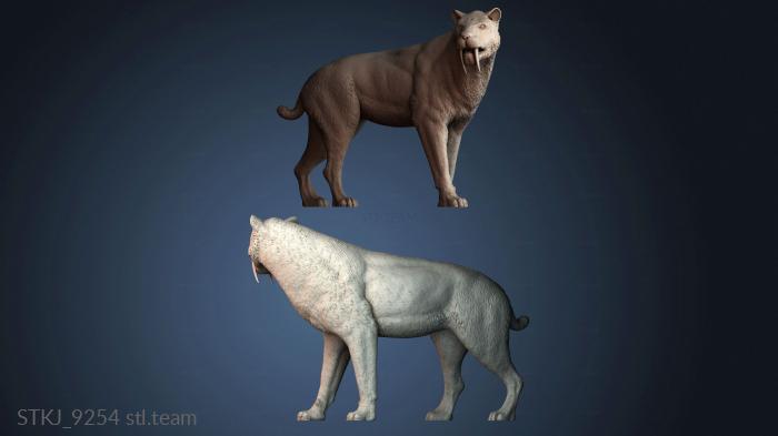 Статуэтки животных STKJ_9254