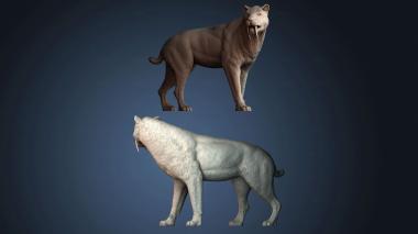 3D модель STKJ_9254 (STL)