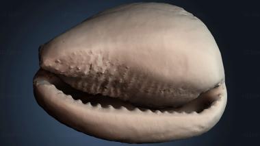 3D модель STKJ_9303 (STL)