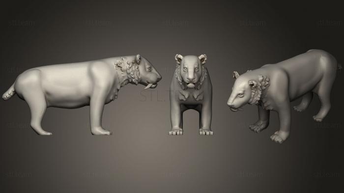 3D model Smilodon (Saber Toothed Tiger) (STL)