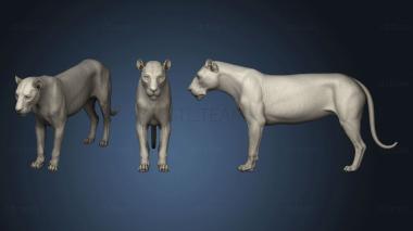 3D model Lion (reparee) (STL)