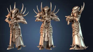 3D model Arcanist Enigmatic (STL)